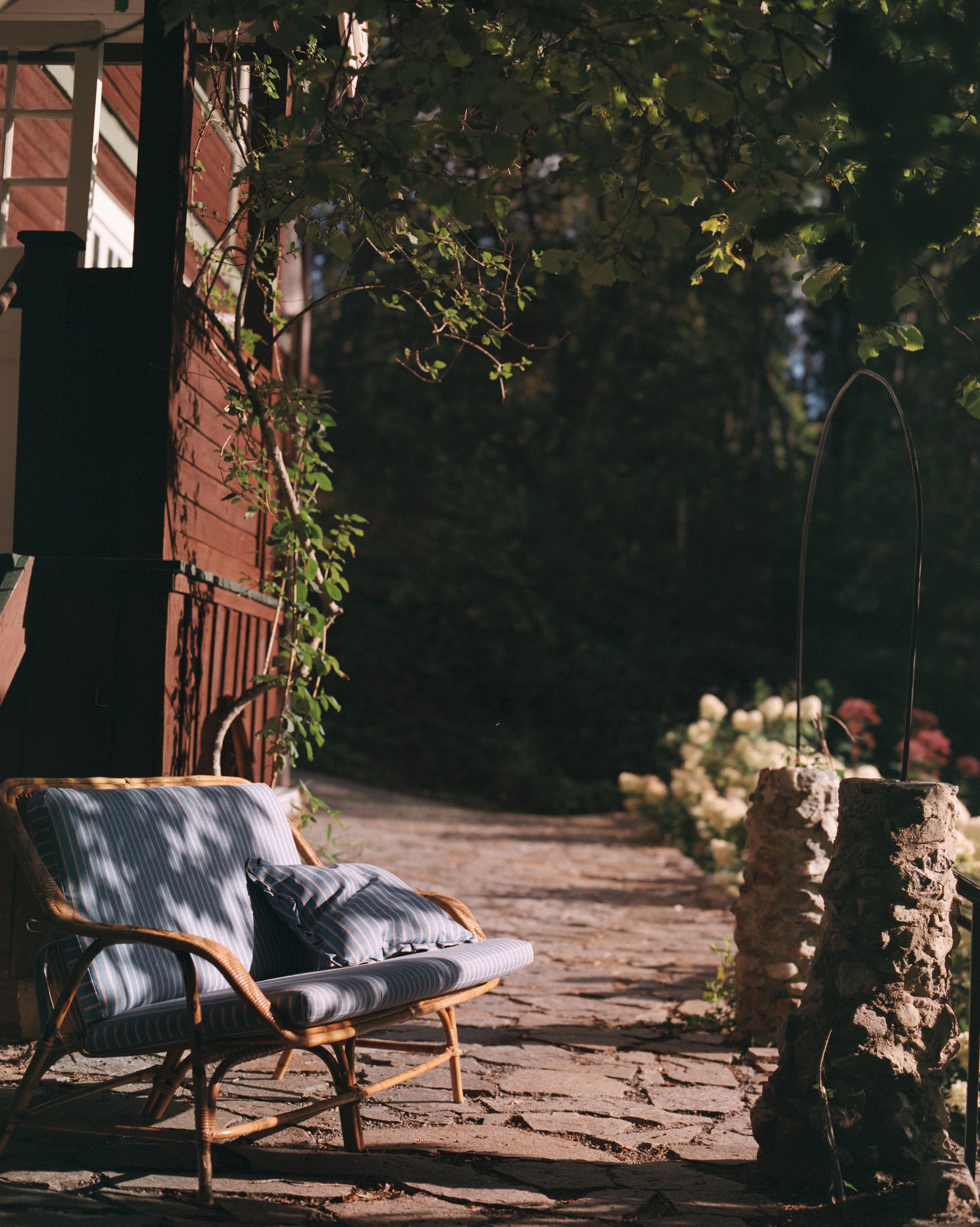 Wicker chair with cushions on a wooden deck surrounded by greenery